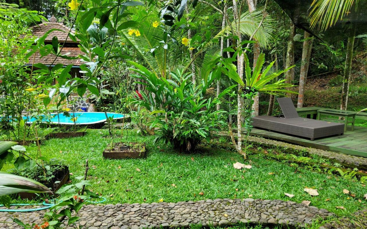 Mi Casa - The Gem Of Ijen Hotel Banyuwangi  Exterior foto