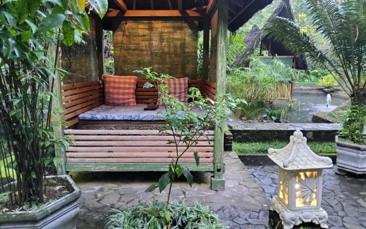 Mi Casa - The Gem Of Ijen Hotel Banyuwangi  Exterior foto