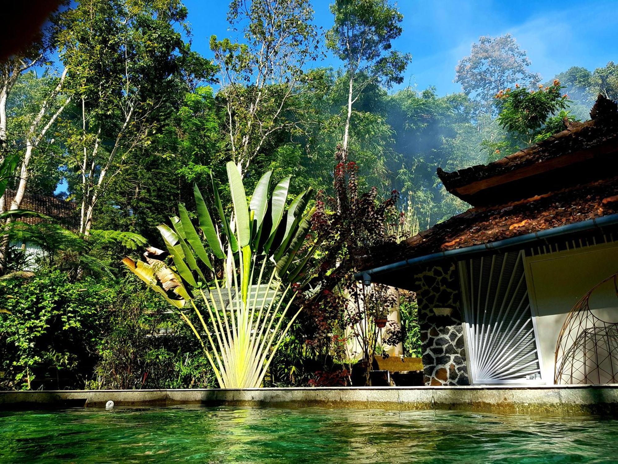 Mi Casa - The Gem Of Ijen Hotel Banyuwangi  Exterior foto
