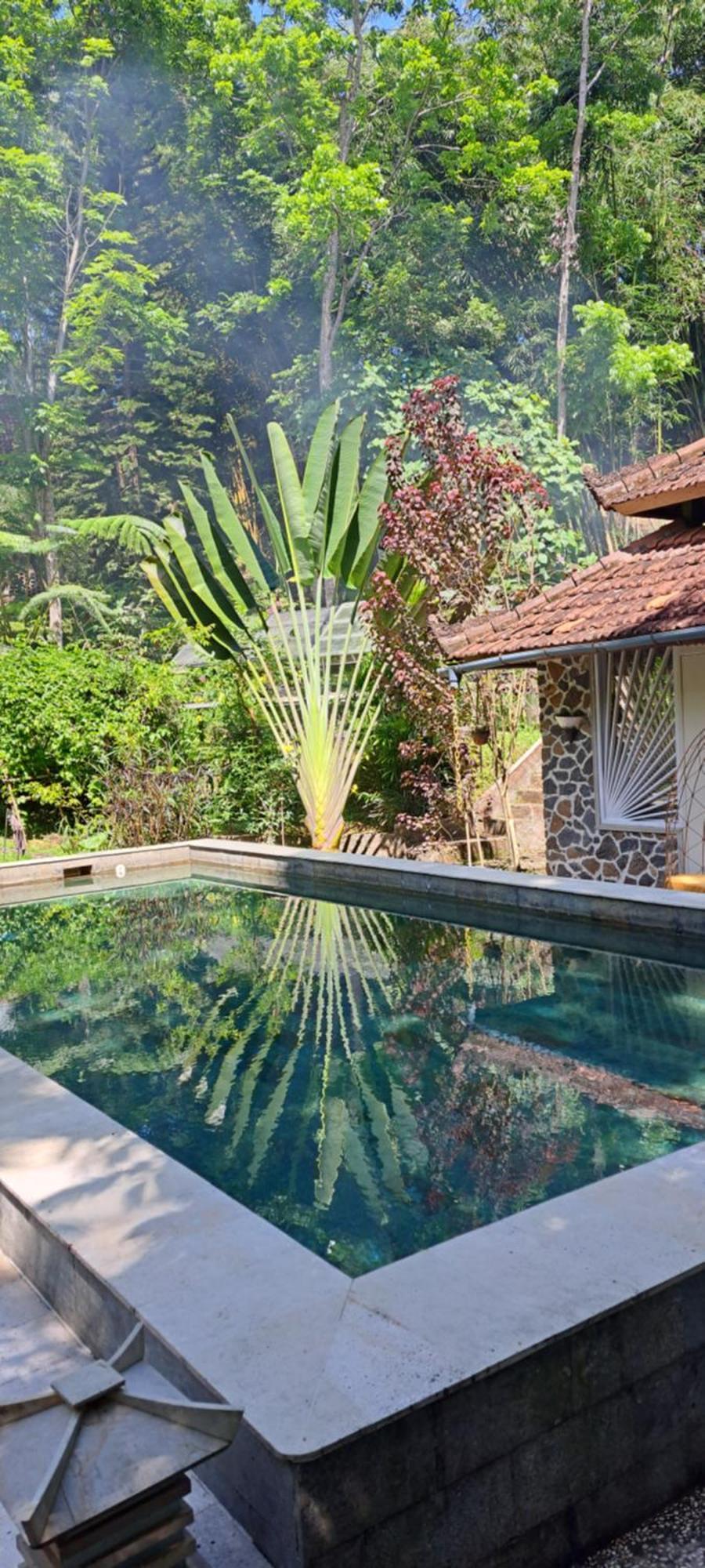 Mi Casa - The Gem Of Ijen Hotel Banyuwangi  Exterior foto